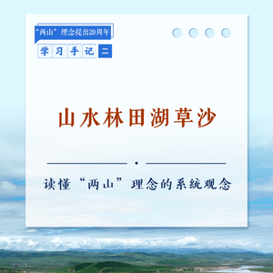 学习手记｜山水林田湖草沙——读懂“两山”理念的系统观念