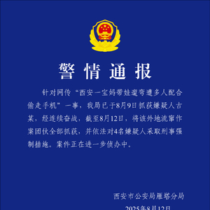 宝妈带娃遛弯遭多人配合偷走手机，西安警方：作案团伙全部被抓