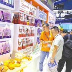 能给主人“打电话”！ 全球首款宠物智能手机来了