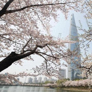 韩国9月29日起对中国团队游客实行临时免签政策