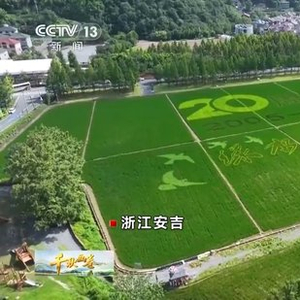 “两山”理念提出二十周年：绿水青山千秋画 万里江山共此卷