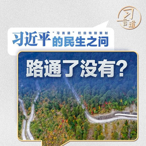 习近平的民生之问丨“到墨脱的路通了没有？”