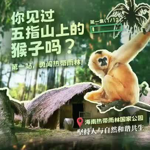 幸会中国 | 走进五指山，探秘“人与自然和谐共生”之道