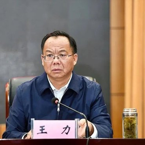 靴子落地！玉溪市委原书记王力被查