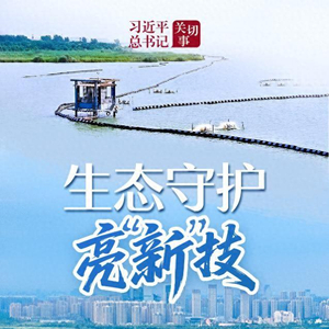 习近平总书记关切事｜生态守护亮“新”技