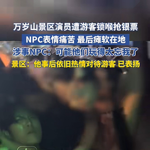“男游客突然从背后对工作人员锁喉、捂嘴，将其摁倒在地，其他游客哄抢”，河南万岁山武侠城回应