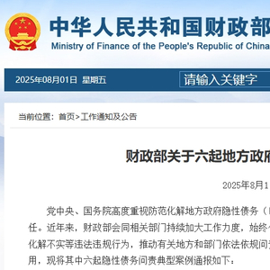 违法违规新增隐性债务！财政部公开曝光六起典型案例