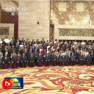 习近平接见西藏各族各界代表