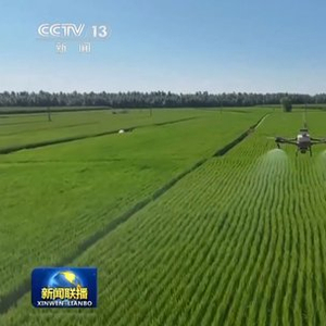 【新思想引领新征程】保护好黑土地 筑牢国家粮食安全根基