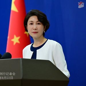 2025年8月22日外交部发言人毛宁主持例行记者会