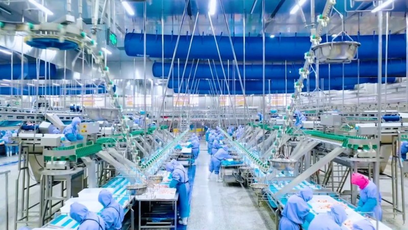 新华视点｜金秋丰收画卷：特色产业富农家 科技赋能稳粮仓