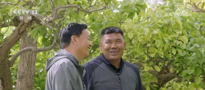 砥砺奋进七十载  天山南北谱华章  |  贫困村→小康村  各民族携手一心共筑富裕路