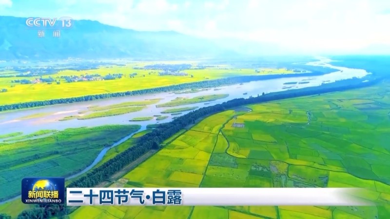 文化中国行丨二十四节气・白露 露从今夜白 月是故乡明