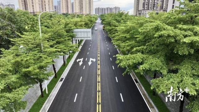 南方特稿｜孙文西路：复刻百年老街的“绣花功夫”
