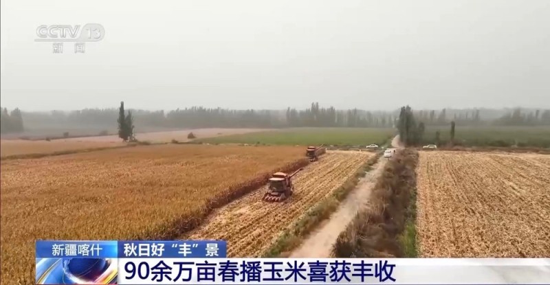 秋日好“丰”景 科技赋能+政策扶持让农户增产增效