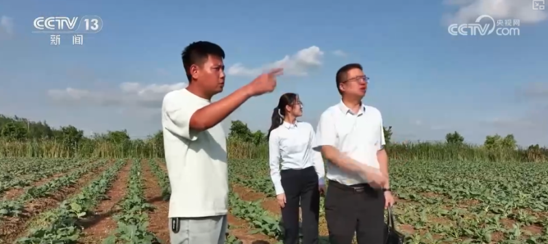 “贷”动成长、“贷”动升级、“贷”出活力 金融“活水”激活经济发展强劲动力