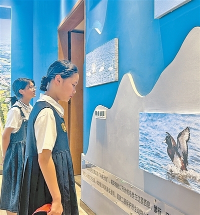 我国再添四处世界灌溉工程遗产（新时代画卷）
