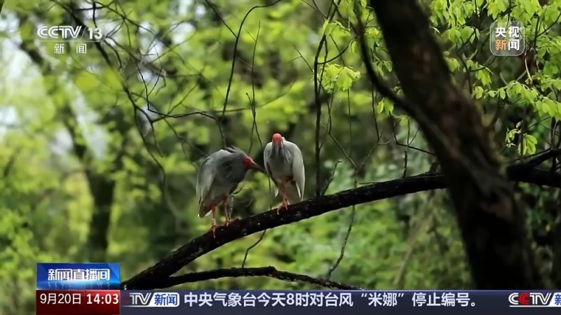 “过境游”变“深度游” 为何我国入境游超预期增长？