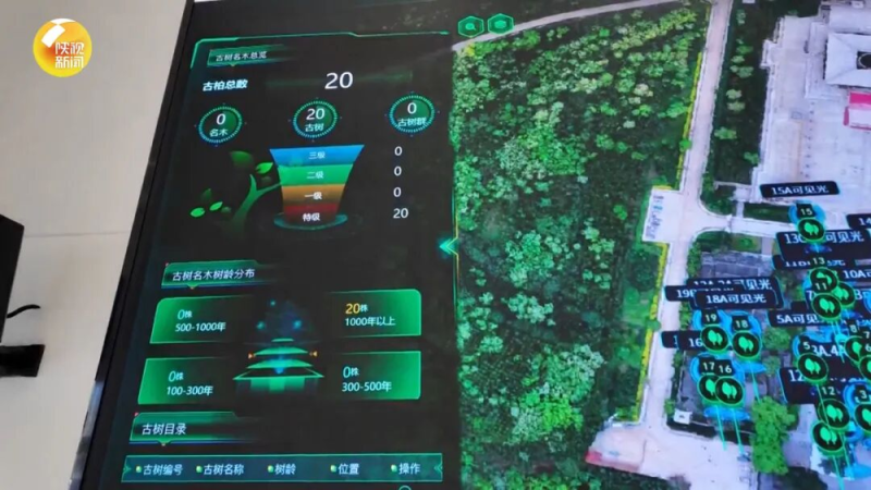 古老文明，正以数字化方式走向未来