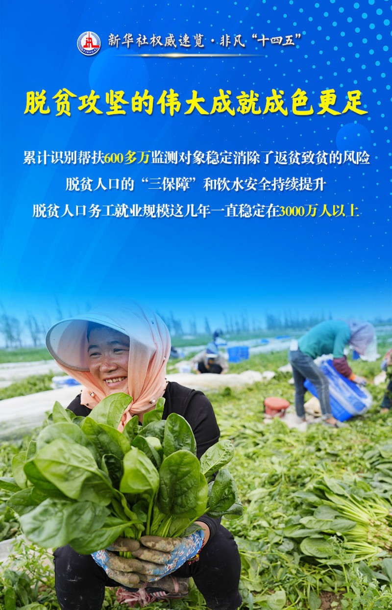 新华社权威速览・非凡“十四五”丨“农业强国”建设，取得这些新进展！