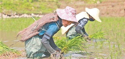 我国再添四处世界灌溉工程遗产（新时代画卷）