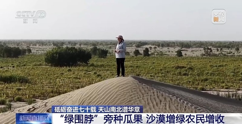 砥砺奋进七十载 天山南北谱华章丨十年巧治流沙 台特玛湖焕然新生
