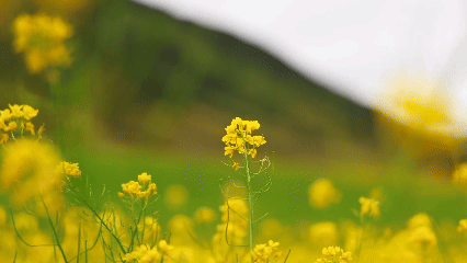 索县：红色血脉里的奋进密码