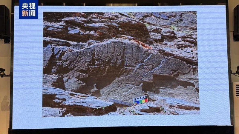 7点出发｜揪心！2岁女童在家门口已失踪十多天，你在哪里？