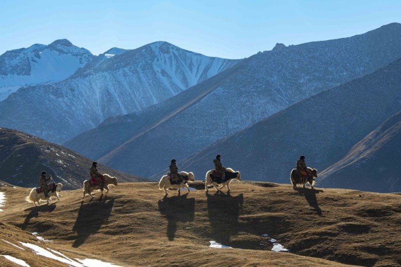 我在现场・光影流年｜天山之下 绿洲新韵