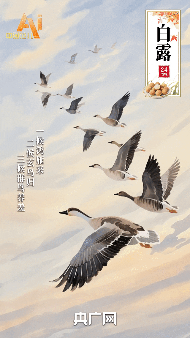 节气里的中国智慧丨今日白露，愿有人为你添件薄裳，有人陪你共赏秋光