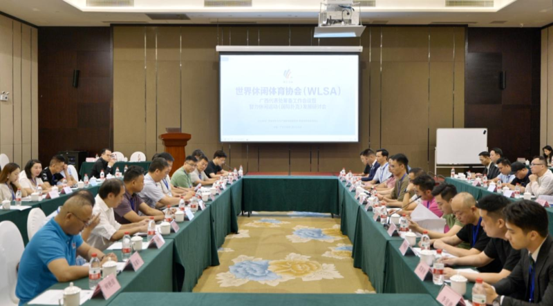推动智力休闲运动规范化发展  打造中国―东盟人文交流新纽带