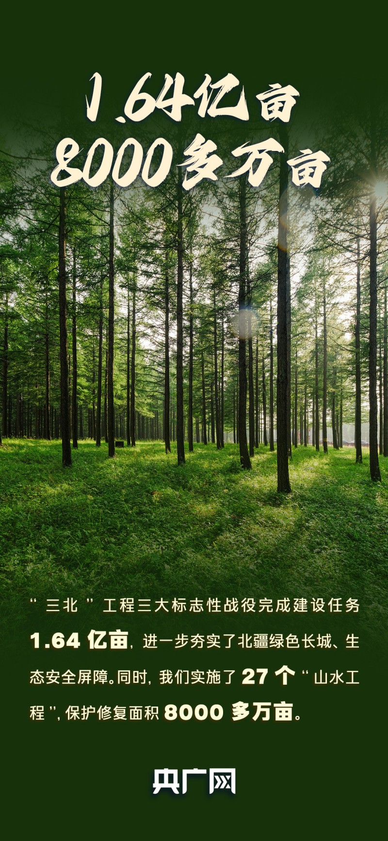 数读“十四五”答卷丨全球增绿最多最快！一组数据看我国最新自然资源“家底”！