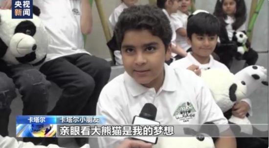 以色列袭击卡塔尔,中国网友急了:我们的两只大熊猫怎么样了?多哈动物园独家回应