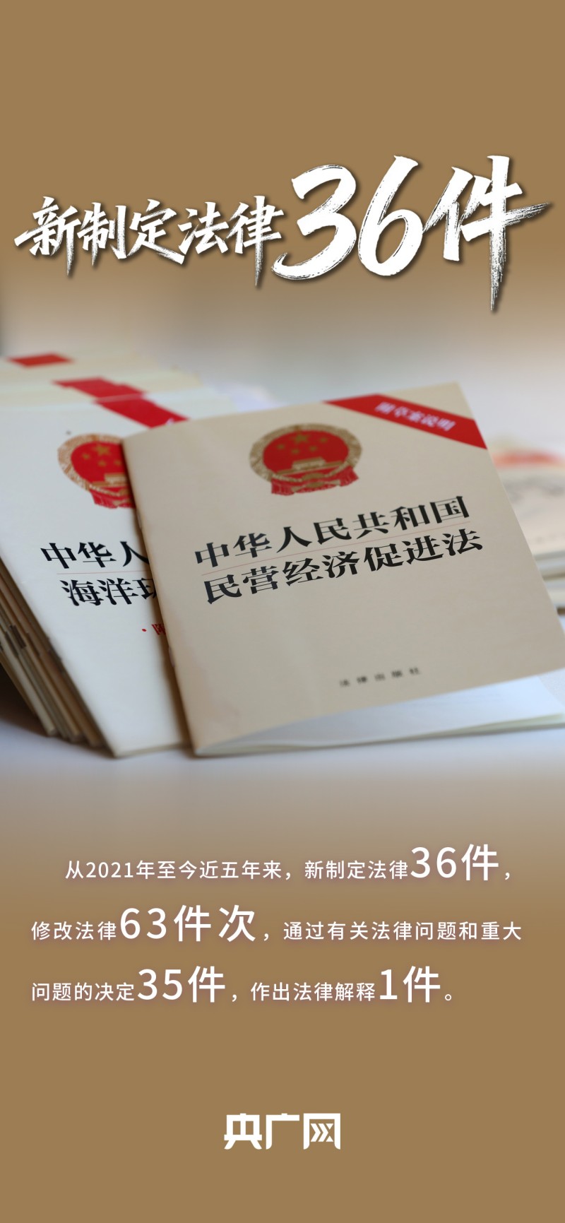 数读“十四五”答卷丨取得突破性进展！一组数据看法治中国建设“成绩单”