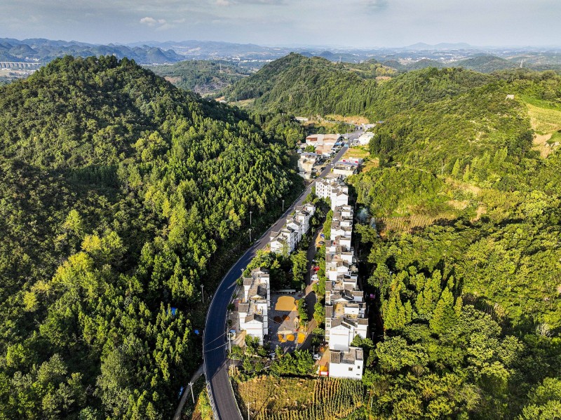 做客央广网丨让“人享其行、物畅其流”  专访交通运输部运输服务司副司长高博