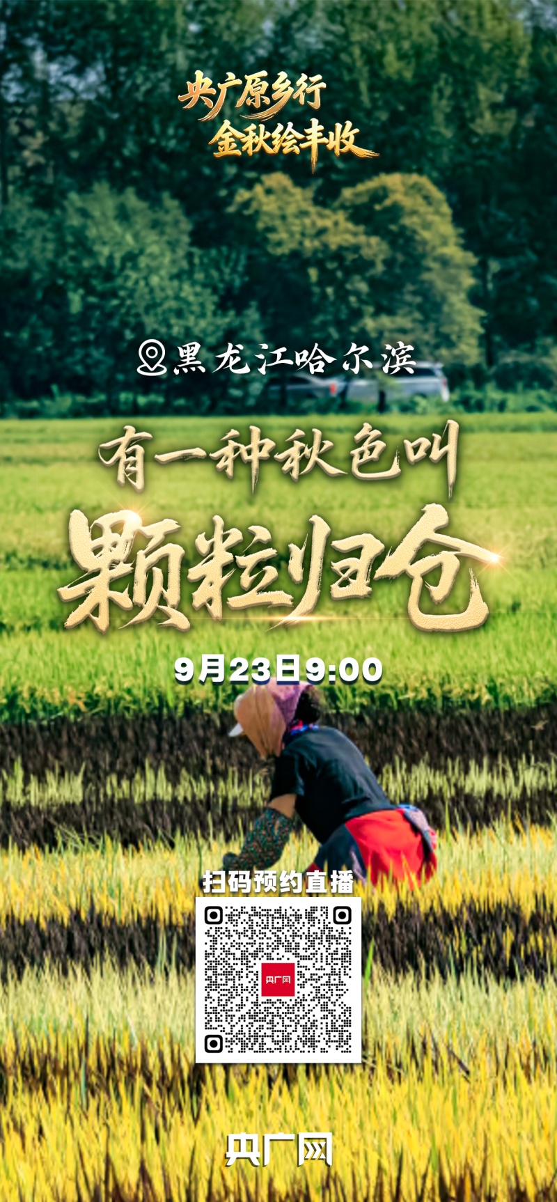 有一种秋色叫“丰收”！9月23日，邀您共赏大江南北最炽热的丰收喜悦