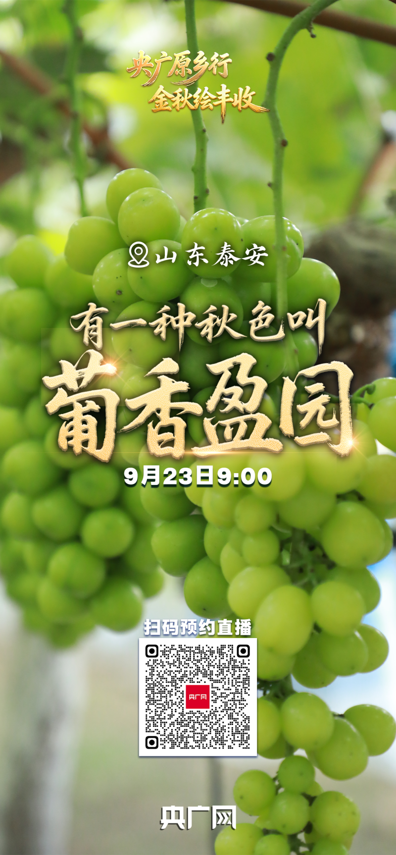 有一种秋色叫“丰收”！9月23日，邀您共赏大江南北最炽热的丰收喜悦