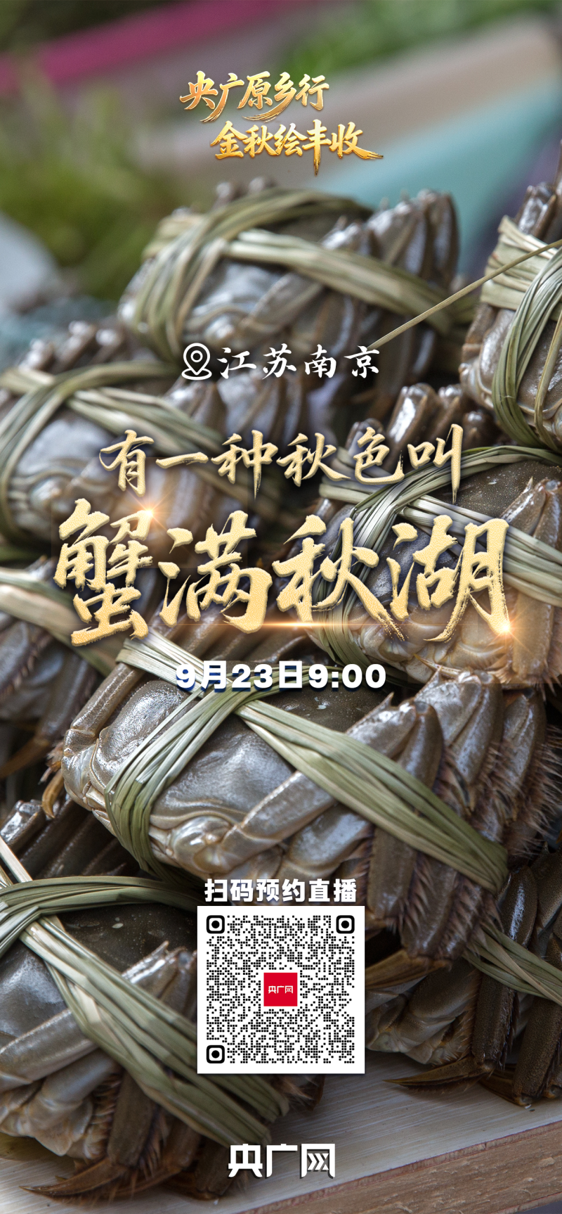 有一种秋色叫“丰收”！9月23日，邀您共赏大江南北最炽热的丰收喜悦