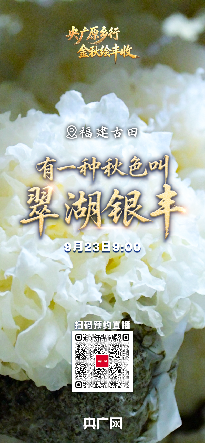 有一种秋色叫“丰收”！9月23日，邀您共赏大江南北最炽热的丰收喜悦