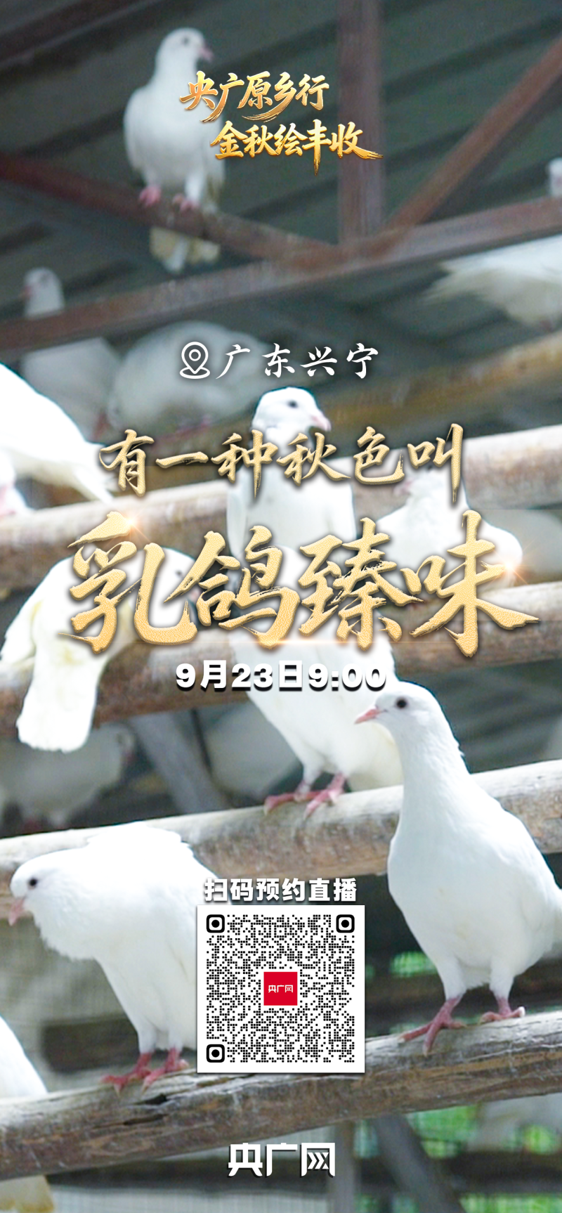 有一种秋色叫“丰收”！9月23日，邀您共赏大江南北最炽热的丰收喜悦