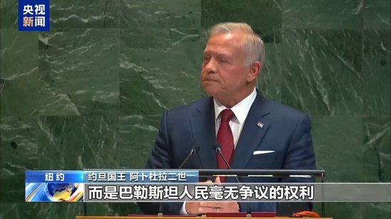 多国在联大就巴以问题谴责美以 呼吁落实“两国方案”