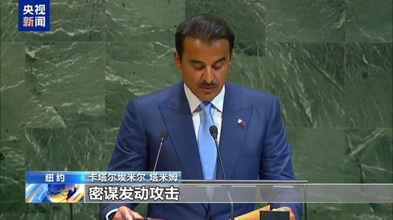多国在联大就巴以问题谴责美以 呼吁落实“两国方案”