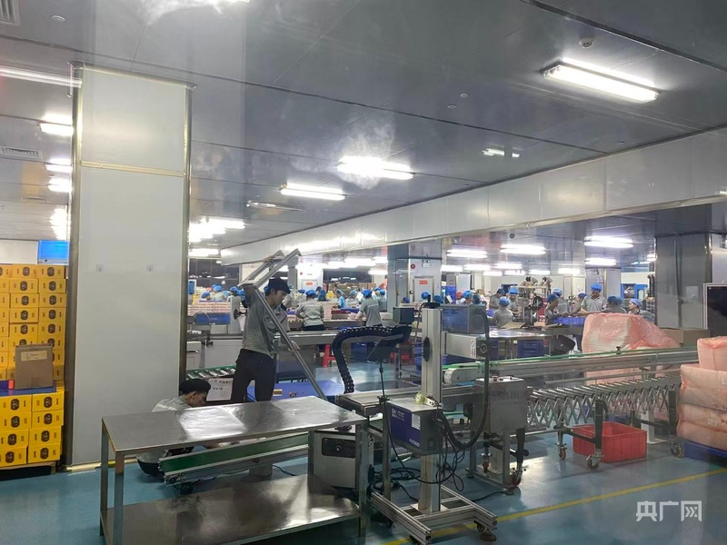 预制菜4000亿市场背后：破局进行时与标准在路上
