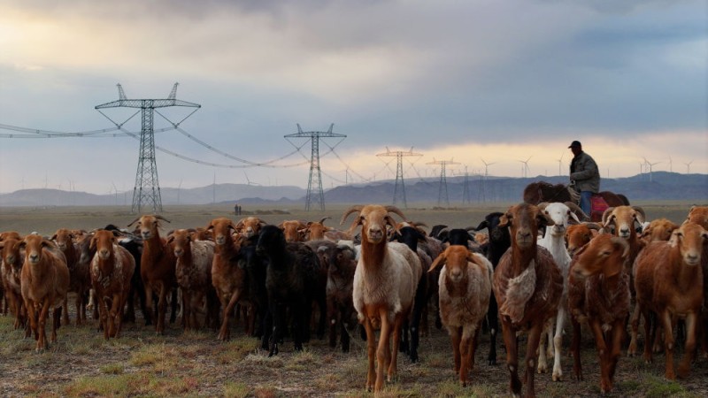 潮涌新疆70年 风光新涌：绿电“追风逐日” 点亮万家灯火