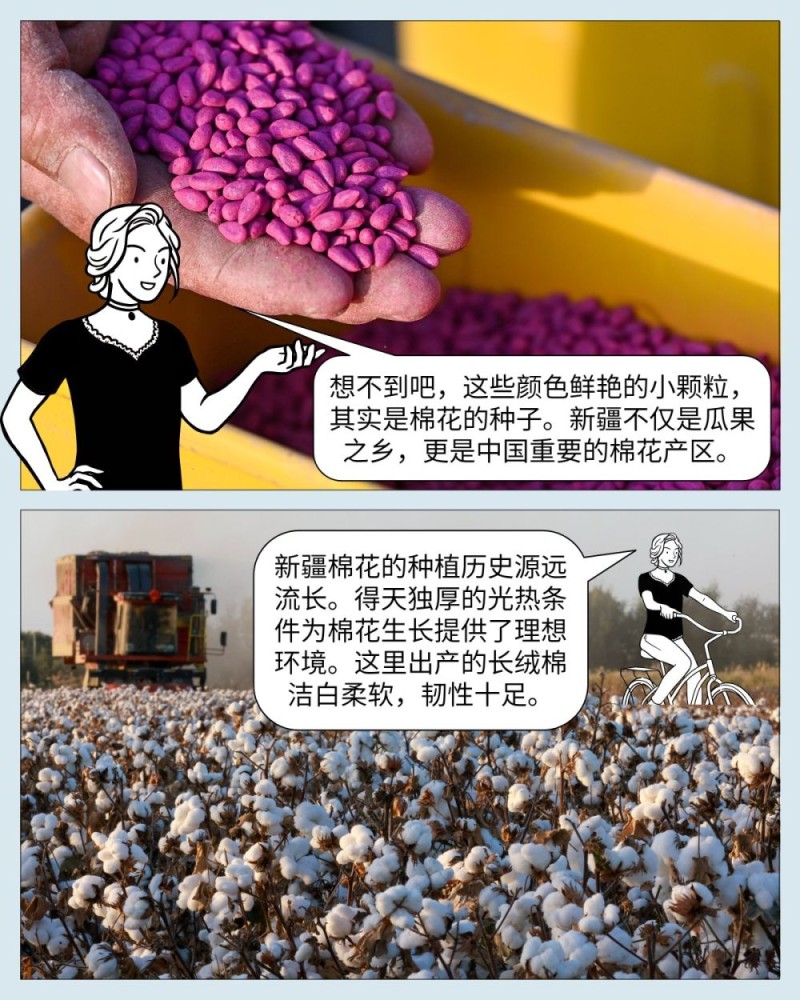 中国印记｜微缩摄影看新疆：产业篇