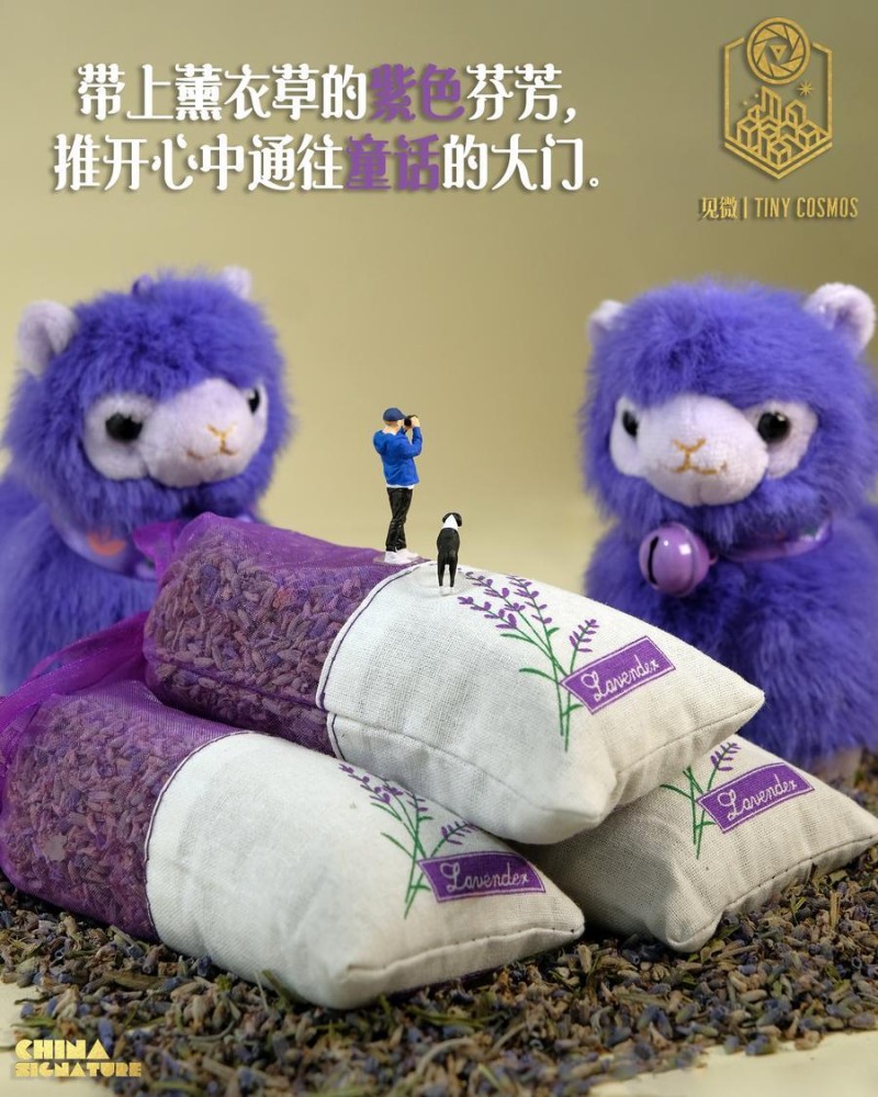 中国印记｜微缩摄影看新疆：产业篇