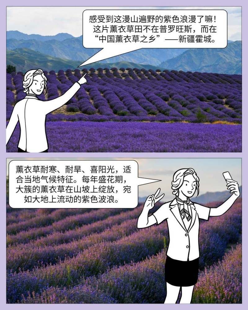 中国印记｜微缩摄影看新疆：产业篇