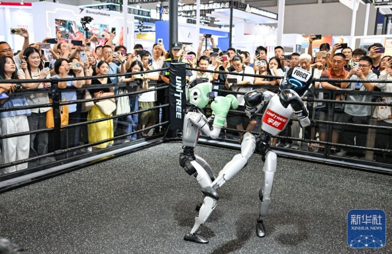 新华全媒+丨智博会上看“智造”