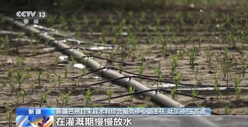 砥砺奋进七十载 天山南北谱华章丨沙漠上的“浪漫”产业 托起新疆菜篮果盘