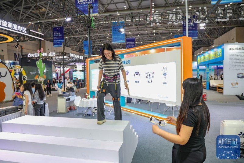 新华全媒+丨智博会上看“智造”